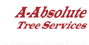 A-Absolute Tree Service & Trimming logo